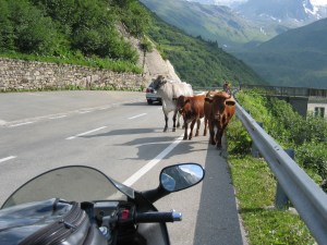 Arvuuttelua kumpi väistää...