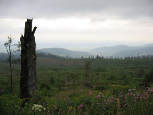 Maisemat mallia hakuuaukee