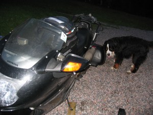 XX reissun rähjäämänä ja Rocky vastaanottokomiteana. 