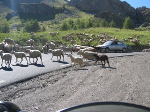 Liikennettä tiellä