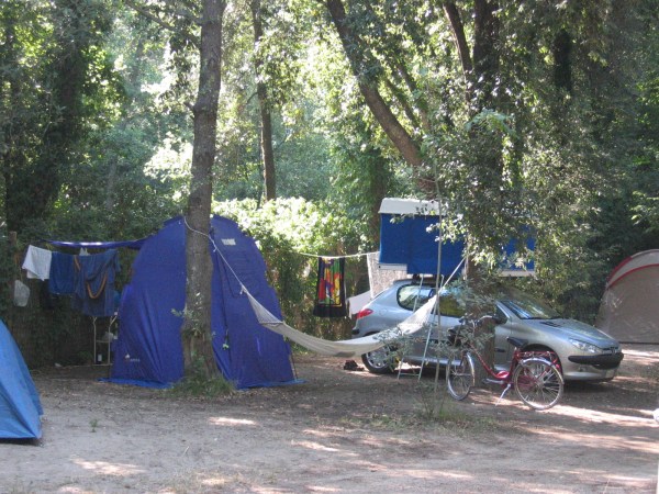 Eksoottinen yhdistelmä