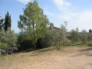 Täältäkö pitäisi joku ravintola löytyä?