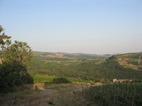 Maisema ravintolan pöydästä. Viinit tulivat noilta viljelmiltä. 