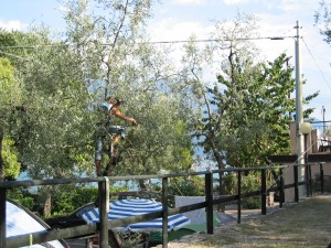 Limone sul Garda. Ei apina vaan joku muu puussa. Ei muista miksi...