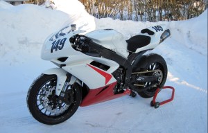 Täysiverinen kilpuri. R1 -08