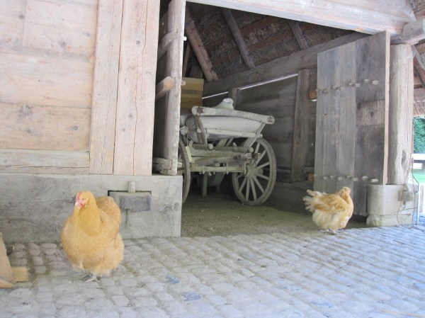 Ballenberg - Swiss Open Air Museum