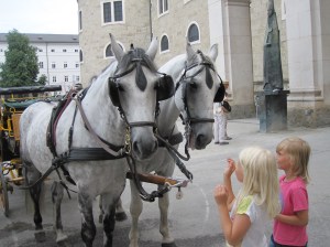 Salzburg - hevosajelulta