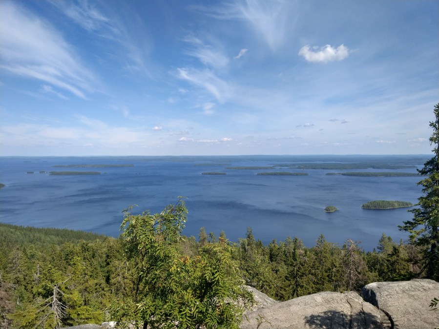 Koli