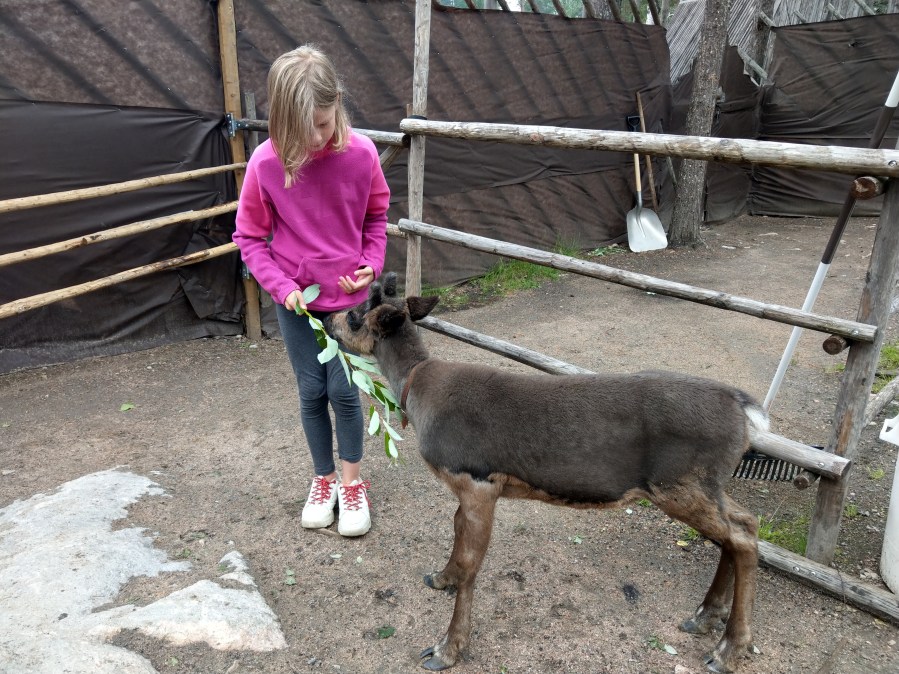 Joulupukin Pajakylä