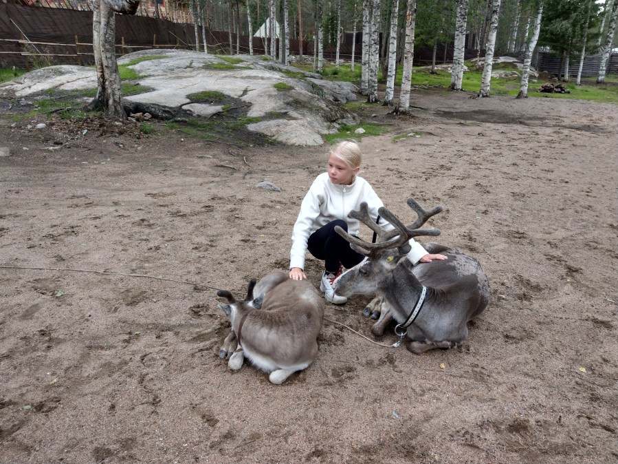 Joulupukin Pajakylä